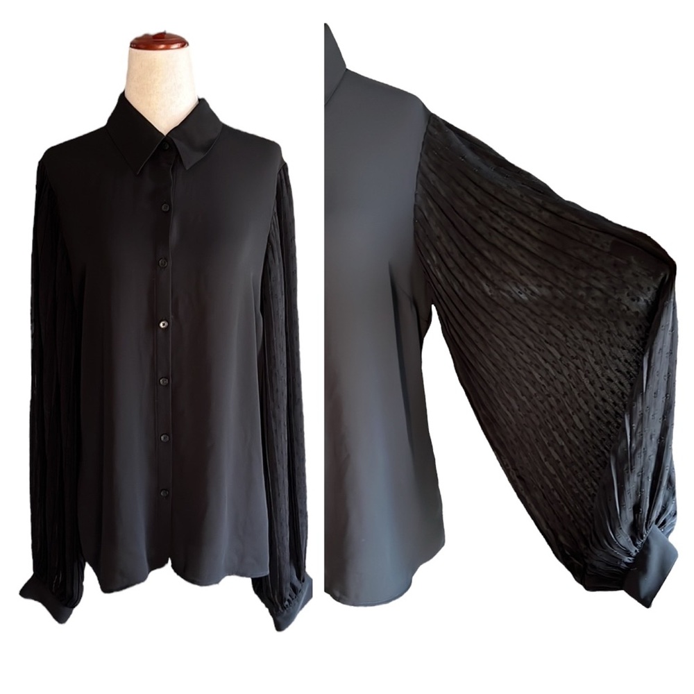 Express Sheer Puff Sleeve Button Down Blouse